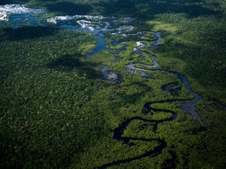 Ako želi spasiti Amazonu, Lula mora razmišljati kapitalistički