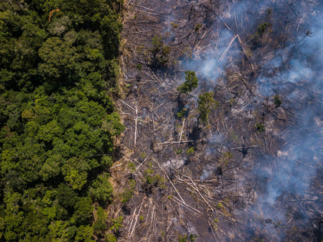 Mogu li ulaganja u bioraznolikost dostići klimatske investicije